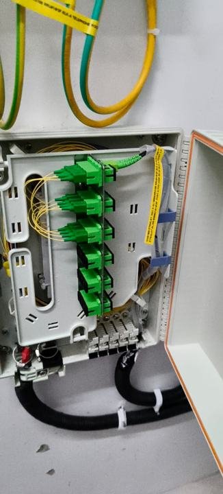 Wall box with splitter outputs and a grounded entry