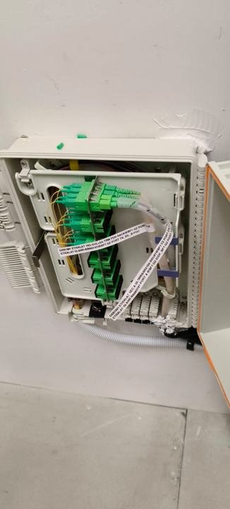 Distribution box with labeled drop fibers