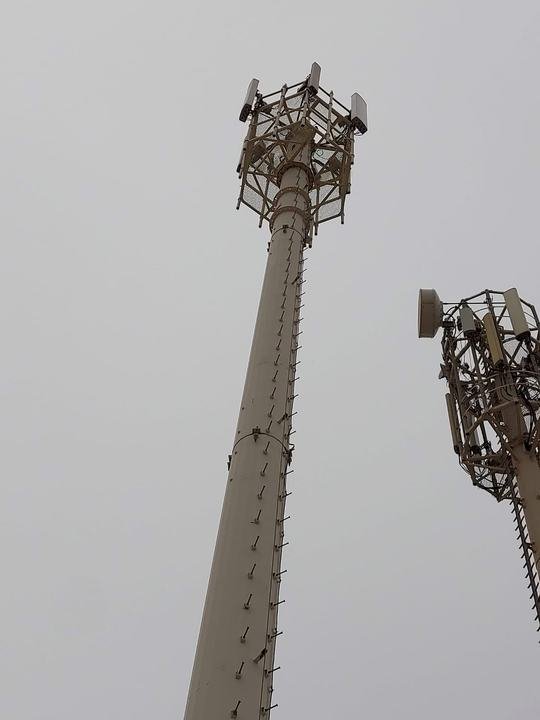 Monopoles with sector antennas and a microwave dish